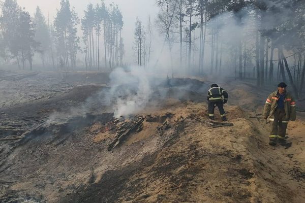 Пожары в Марий Эл сегодня, 24.08.2021, где горят леса: обстановка сейчас, 24 августа