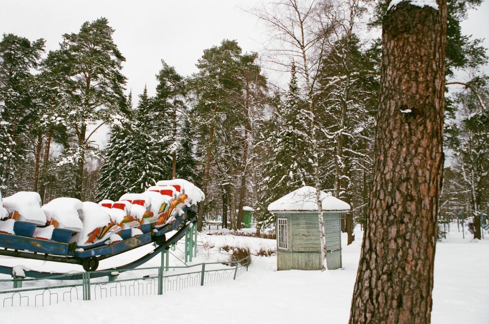 Роза христа и другие рождественские сказки Куда пойти гулять с ребенком в новогодние каникулы 2022 года в Москве: ёлки, катки, ледяные горки, ярмарки и другое