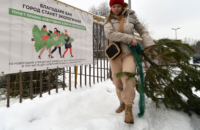 Куда сдать новогоднюю елку после праздников в Москве и Подмосковье: пункты приёма новогодних ёлок в 2022 году