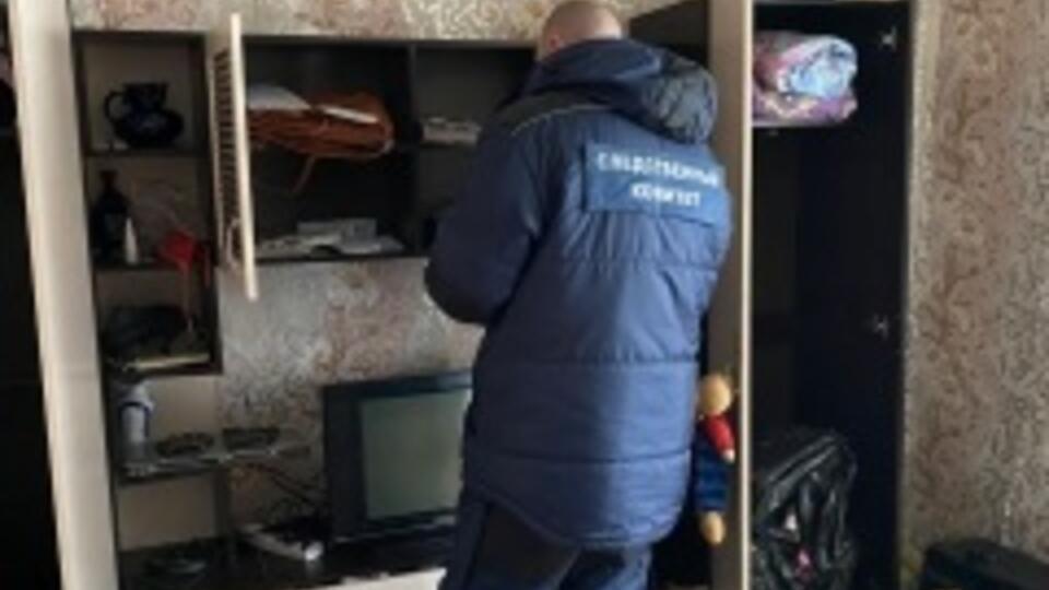 В Новгородской области пропала годовалая девочка: Возбуждено уголовное дело по статье "Убийство малолетнего" 26.01.22