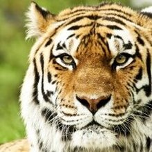 Любовь, г. Москва