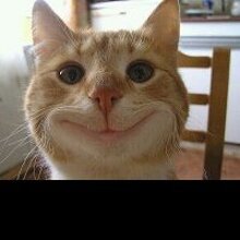 Алена, г. Буй