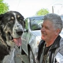 Анатолий, г. Санкт-Петербург