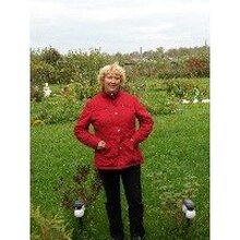 Адвокат Демидова Елена Борисовна, г. Ярославль