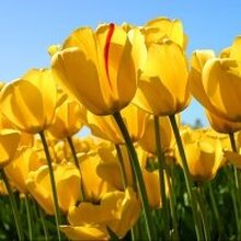 Елена, г. Нижневартовск