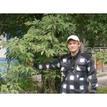 Сергей, г. Искитим