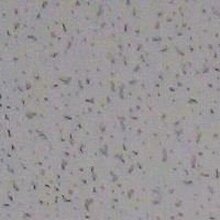 Денис, г. Почеп