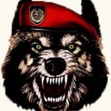 Роман, г. Москва