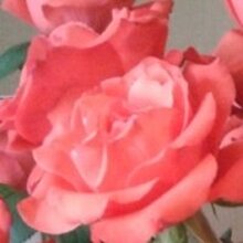 Татьяна, г. Астрахань