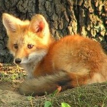 Ольга, г. Москва