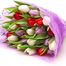 Светлана, г. Нижневартовск