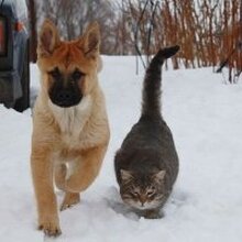 Диана, г. Санкт-Петербург