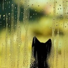 Русалина, г. Уфа