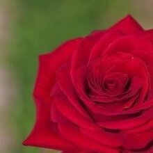 Светлана, г. Уфа