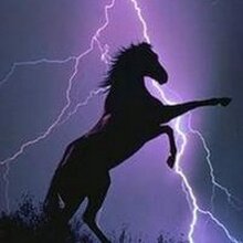 Юлия, г. Владивосток