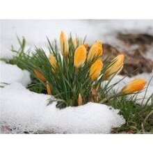 Наталья, г. Челябинск