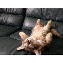 Денис, г. Ульяновск