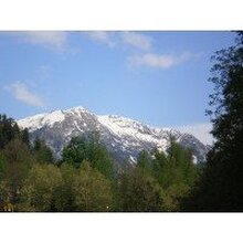 Роман, г. Сочи