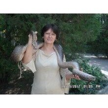 Ирина, г. Ростов-на-Дону