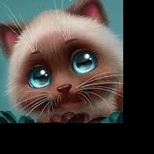 Наталья, г. Владикавказ