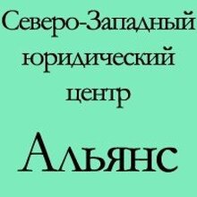 Директор Панин Михаил Валерьевич, г. Санкт-Петербург