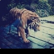 Эдуард, г. Армавир