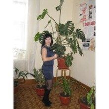 Екатерина, г. Липецк