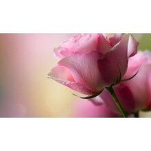 Анастасия, г. Златоуст