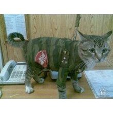 Иван, г. Нижний Тагил