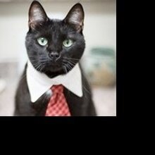 Бух, г. Сухум