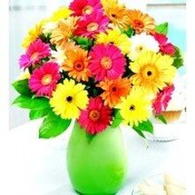 Ольга, г. Брянск