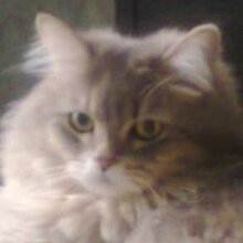 Екатерина, г. Самара