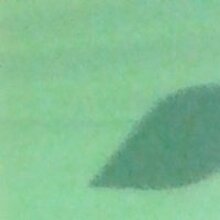 Вячеслав, г. Муравленко