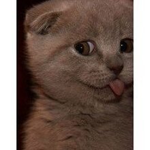 Бывший зек, г. Москва