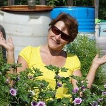 Светлана, г. Среднеуральск