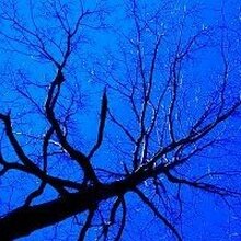 Евгения, г. Ленск