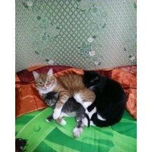 Владислав, г. Томск