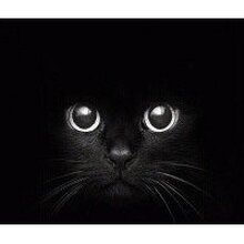 Анжелика, г. Нижний Новгород