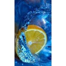 Екатерина, г. Сокол