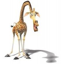 Ирина, г. Санкт-Петербург