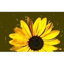 Козлова Елена, г. Санкт-Петербург