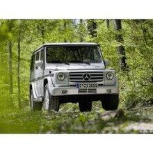 Алексей, г. Санкт-Петербург