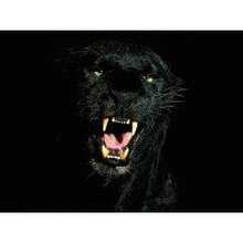 Сергей, г. Рубцовск