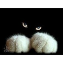 Светлана, г. Москва