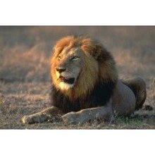 Дмитрий, г. Москва