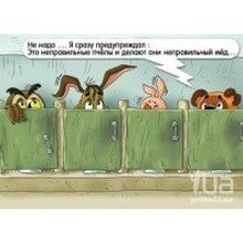 Иван Холинтайн, г. Симферополь