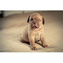 Ирина, г. Челябинск