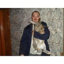 Александр Николаевич, г. Абакан