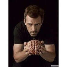 Анатолий, г. Новосибирск