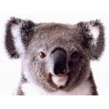 Валерия, г. Санкт-Петербург